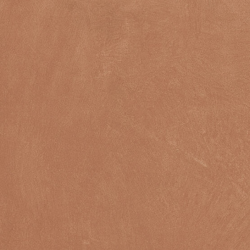 Керамогранит Anti-Slip Argillae Coral Rect 60х60