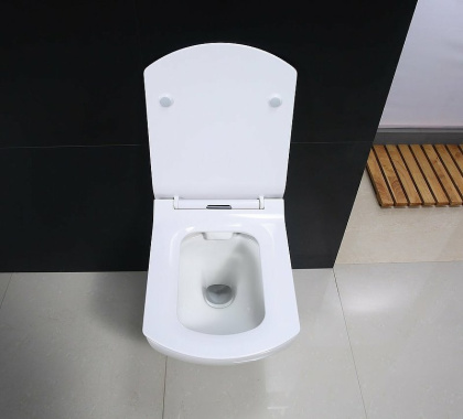 Крышка-сиденье BelBagno CARINA BB1077SC Крышка-сиденье BelBagno CARINA BB1077SC