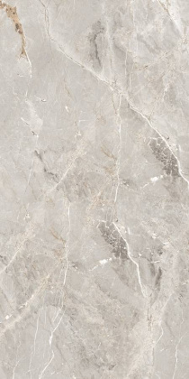 GT1206012101SPR Керамогранит Tulip_GT Сер. 60x120 полир._ 1\46,08