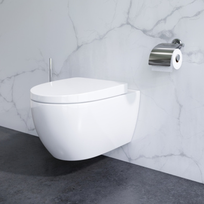 CK11FB AWE Подвесной комплект ( зона туалета) CK11FB AWE Подвесной комплект ( зона туалета)