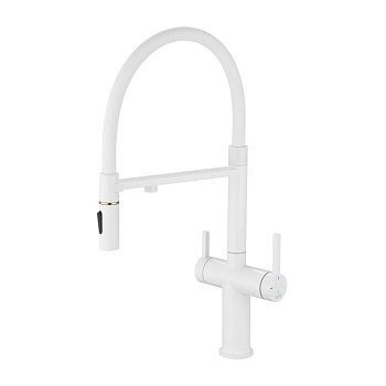 Смеситель для кухни с гибким изливом ROSE R458 R458C