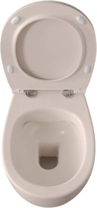 Подвесной унитаз Allen Brau Fantasy 4.11004.IV айвори Подвесной унитаз Allen Brau Fantasy 4.11004.IV айвори