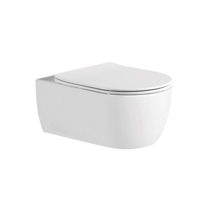 Подвесной унитаз Акватек Европа AQ1106L-00 Подвесной унитаз Акватек Европа AQ1106L-00