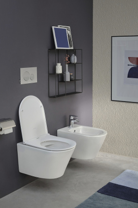 Крышка-сиденье для унитаза  E23280-00 Jacob Delafon Rodin+ белый с микролифтом, шт Крышка-сиденье для унитаза  E23280-00 Jacob Delafon Rodin+ белый с микролифтом, шт