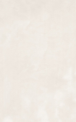 Плитка настенная 6330 Фоскари бежевый (40см*25см*8мм) (11шт/1,1м2) , м2 Плитка настенная 6330 Фоскари бежевый (40см*25см*8мм) (11шт/1,1м2) , м2