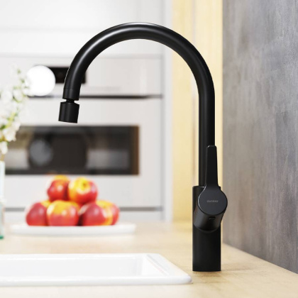 DX310722300 Eclipse, Смеситель Для кухни с двухрежимным регулируемым аэратором, Черный DX310722300 Eclipse, Смеситель Для кухни с двухрежимным регулируемым аэратором, Черный