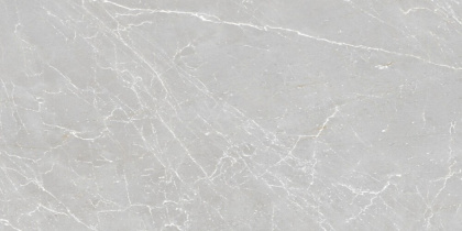 Duna - Eternal - Керамогранит - Grigio Carving 60x120