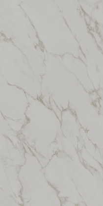 Монте Тиберио серый светлый матовый обрезной 119,5x238,5x1,1
