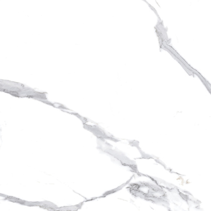 Calacatta Splendid Silver Керамогранит белый 60х60 Матовый