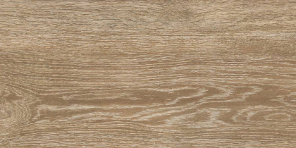 6260-0248-1031 Керамогранит DaСota_GT Серый 30x60 _ 1\46,08