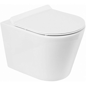 FLAY-R Чаша унитаза подвесного безободкового, P-trap BB053CHR