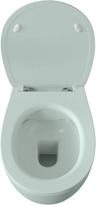 Чаша подвесного унитаза Allen Brau Fantasy 4.11004.MT мятный Чаша подвесного унитаза Allen Brau Fantasy 4.11004.MT мятный