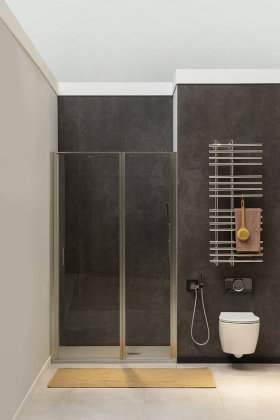 Душевая дверь Allen Brau Priority 100 3.31005.BA серебро браш Душевая дверь Allen Brau Priority 100 3.31005.BA серебро браш