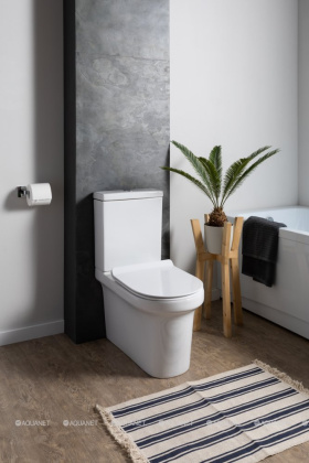 Сливной бачок Aquanet Nova-C2 BL-101N-TPT-A