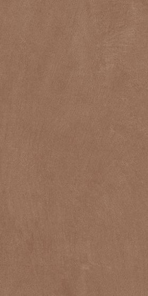 Керамогранит Argillae Terra Rect 30х60