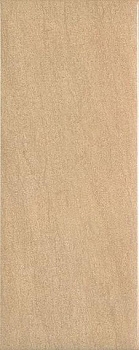 Плитка Globe Miel 20х50