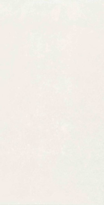 Плитка Mon Hazy Garden 30х60