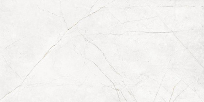 NL00 60x120x10 Непол.Рект. (Керамический гранит)