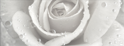 Керамическая плитка Kerama Marazzi Уайтхолл Декор Роза STG\A289\15000 15х40