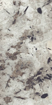 Керамогранит Patagonia High Gloss 60х120