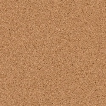Линолеум Tarkett Primo Plus 303