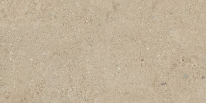 Керамогранит NP02 30,6x60,9x8 Непол. Керамогранит NP02 30,6x60,9x8 Непол.