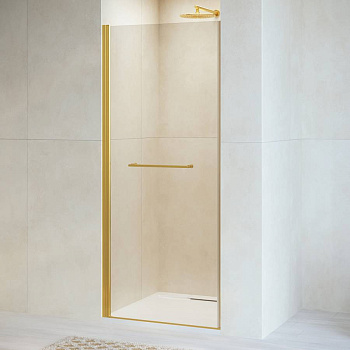 Душевая дверь RGW PA-103Gb, RGW 020810308-16