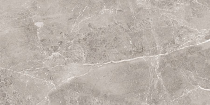 Керамогранит 60х120 Obsidian grey Серый (120смх60смх9мм) (2шт_1,44м2) полированный, м2 Керамогранит 60х120 Obsidian grey Серый (120смх60смх9мм) (2шт_1,44м2) полированный, м2