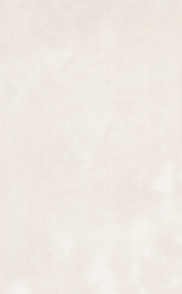 Плитка настенная 6330 Фоскари бежевый (40см*25см*8мм) (11шт/1,1м2) , м2 Плитка настенная 6330 Фоскари бежевый (40см*25см*8мм) (11шт/1,1м2) , м2