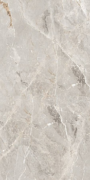 GT1206013001LR Керамогранит Nioba_GT Серый 60x120 _ 1\40,32