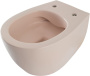 Чаша подвесного унитаза Allen Brau Fantasy 4.11004.SM розовый Чаша подвесного унитаза Allen Brau Fantasy 4.11004.SM розовый