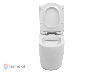 Чаша напольного унитаза Aquanet Rimless Cetus-C1 BL-102N-TPT