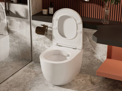 Приставной унитаз Abber Bequem AC1111 с микролифтом