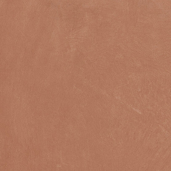 Керамогранит Argillae Coral Rect 60х60 Керамогранит Argillae Coral Rect 60х60