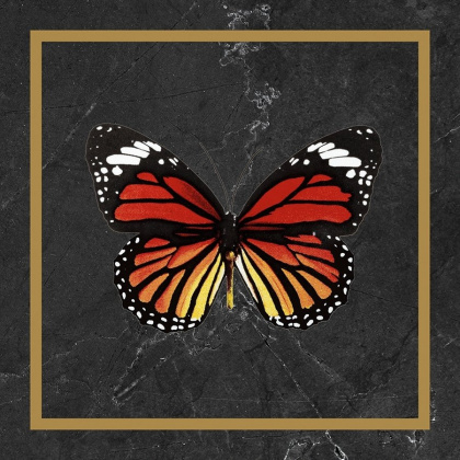 Декор Victorian Marble Blck-Gld Btfprf Gls 7R 20х20 (отгрузка кратно 4) Декор Victorian Marble Blck-Gld Btfprf Gls 7R 20х20 (отгрузка кратно 4)