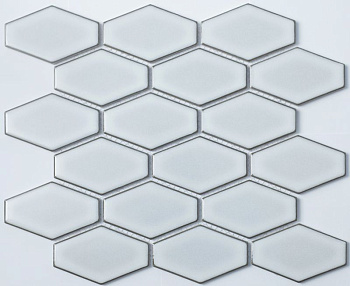 R-309 керамика глянцевая  (268*294)20