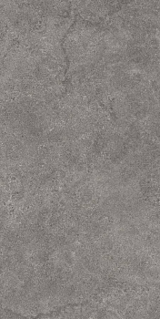 Портленд серый тёмный матовый обрезной 60x119,5x2 Портленд серый тёмный матовый обрезной 60x119,5x2