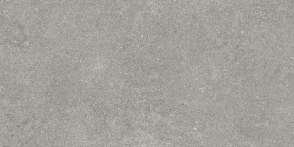 Newcon Керамогранит Серебристо-серый K945752R0001VTE0 30х60