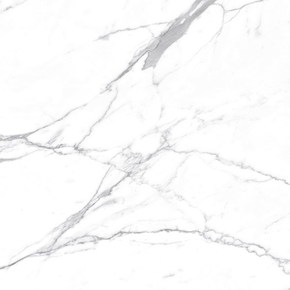 Carrara Terrific Silver Керамогранит белый 60х60 Матовый Carrara Terrific Silver Керамогранит белый 60х60 Матовый