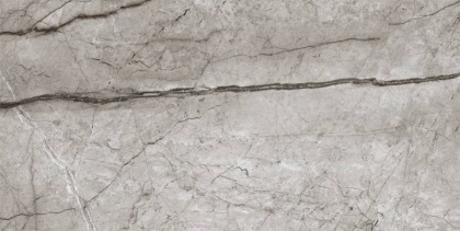 Керамогранит Laparet Obsidian Moss Gray полированный 60х120 (2шт_1,44м2), м2 Керамогранит Laparet Obsidian Moss Gray полированный 60х120 (2шт_1,44м2), м2