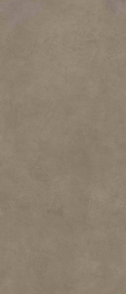 Керамогранит Scs Spectra Mushroom Gv 120х278х6 Керамогранит Scs Spectra Mushroom Gv 120х278х6