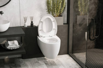 Подвесной унитаз Abber Bequem AC1107P Подвесной унитаз Abber Bequem AC1107P