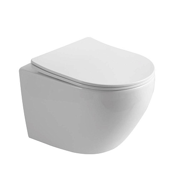 Унитаз подвесной PLAZA , сиденье: дюропласт, цвет: белый, арт. PL30116DP Унитаз подвесной PLAZA , сиденье: дюропласт, цвет: белый, арт. PL30116DP