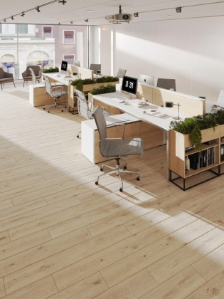 Ламинат Egger 8/33 Aqua+ WV4 Дуб Муром