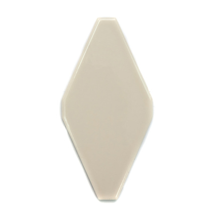 FTR-1028A керамика глянцевая (100*200) плоская