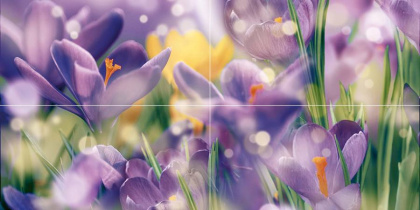 Crocus Панно P4D286 80х40 (из 4 плиток) Crocus Панно P4D286 80х40 (из 4 плиток)