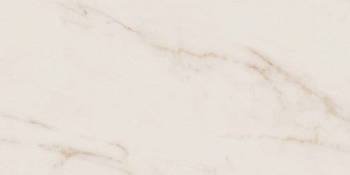 Керамогранит MO02 30,6x60,9x8 Непол.