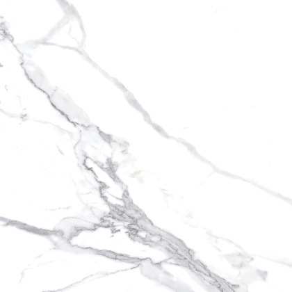 Calacatta Splendid Silver Керамогранит белый 60х60 Матовый