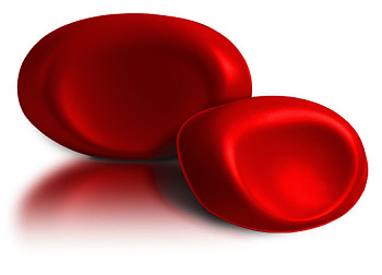 Подголовник Viva Maxi, 19х6х35 см, красный, VMR