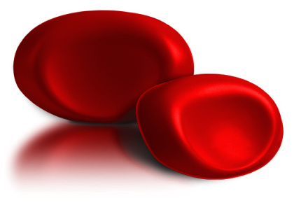 Подголовник Viva Maxi, 19х6х35 см, красный, VMR